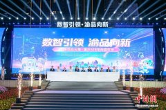 重庆打造618电商盛宴 400余场活动持续释放消费潜力